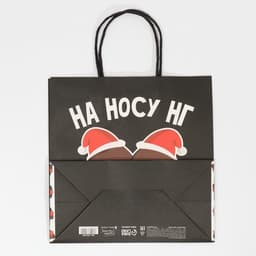 Пакет подарочный новогодний «На носу НГ», 22×22×11 см