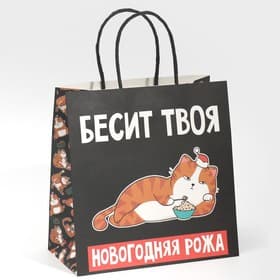 Пакет подарочный новогодний «Рожа», 22×22×11 см