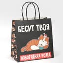 Пакет подарочный новогодний «Рожа», 22×22×11 см