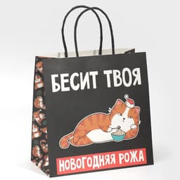 Пакет подарочный новогодний «Рожа», 22×22×11 см
