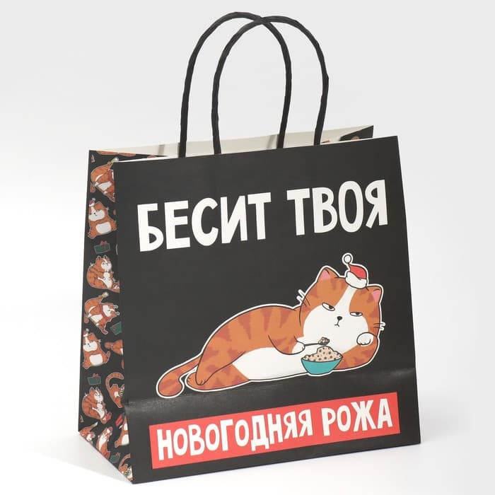 Пакет подарочный новогодний «Рожа», 22×22×11 см