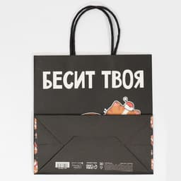 Пакет подарочный новогодний «Рожа», 22×22×11 см