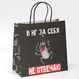 Пакет подарочный новогодний «Вообще не отвечаю», 22×22×11 см
