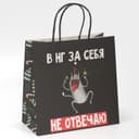 Пакет подарочный новогодний «Вообще не отвечаю», 22×22×11 см