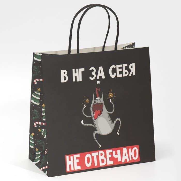 Пакет подарочный новогодний «Вообще не отвечаю», 22×22×11 см