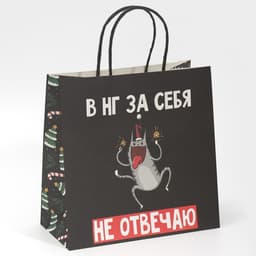 Пакет подарочный новогодний «Вообще не отвечаю», 22×22×11 см