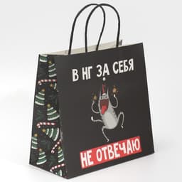 Пакет подарочный новогодний «Вообще не отвечаю», 22×22×11 см