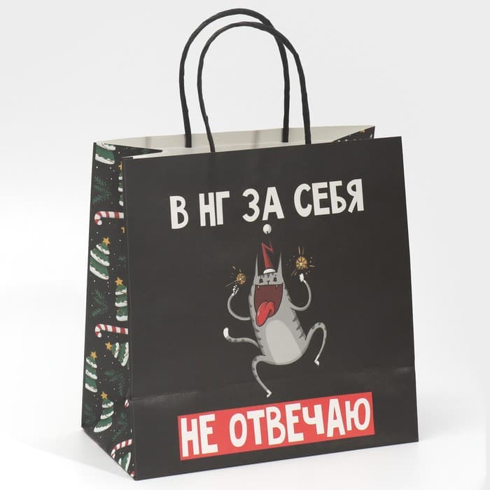 Пакет подарочный новогодний «Вообще не отвечаю», 22×22×11 см