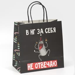 Пакет подарочный новогодний «Вообще не отвечаю», 22×22×11 см