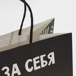 Пакет подарочный новогодний «Вообще не отвечаю», 22×22×11 см
