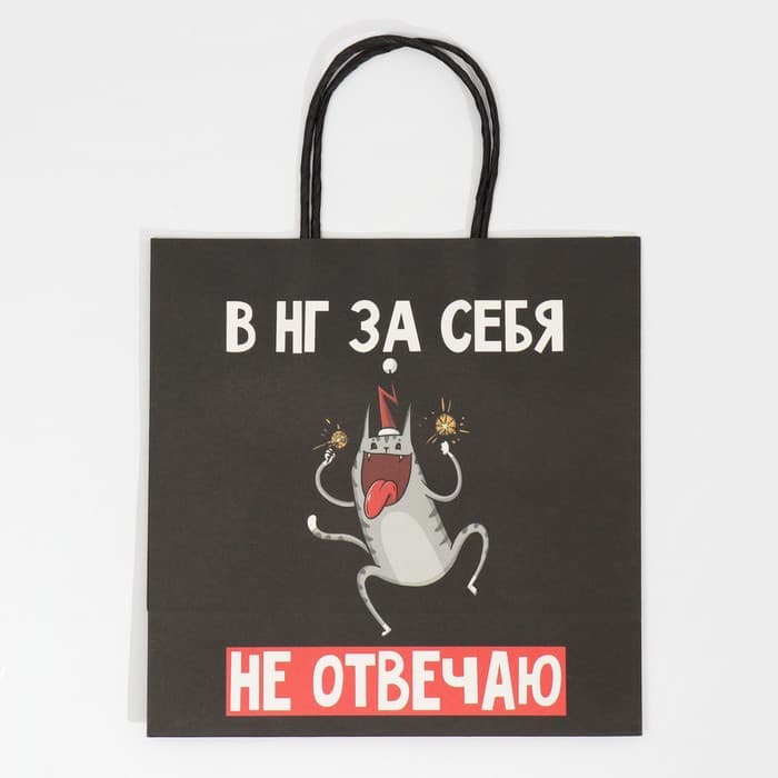 Пакет подарочный новогодний «Вообще не отвечаю», 22×22×11 см