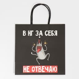 Пакет подарочный новогодний «Вообще не отвечаю», 22×22×11 см