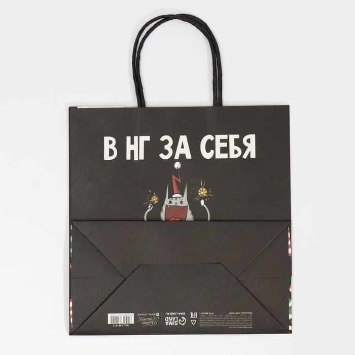 Пакет подарочный новогодний «Вообще не отвечаю», 22×22×11 см
