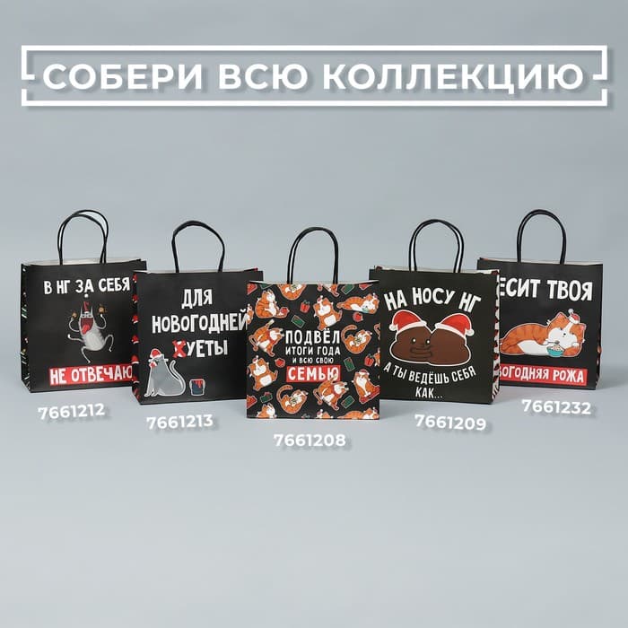 Пакет подарочный новогодний «Вообще не отвечаю», 22×22×11 см
