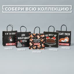 Пакет подарочный новогодний «Вообще не отвечаю», 22×22×11 см