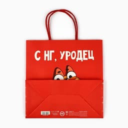 Пакет подарочный новогодний «Уродец», 22 х 22 х 11 см