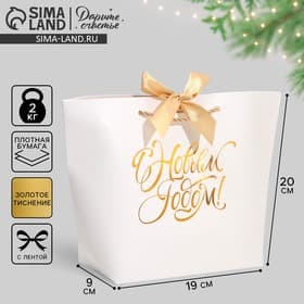 Пакет подарочный новогодний «С Новым годом», 19×20×9 см