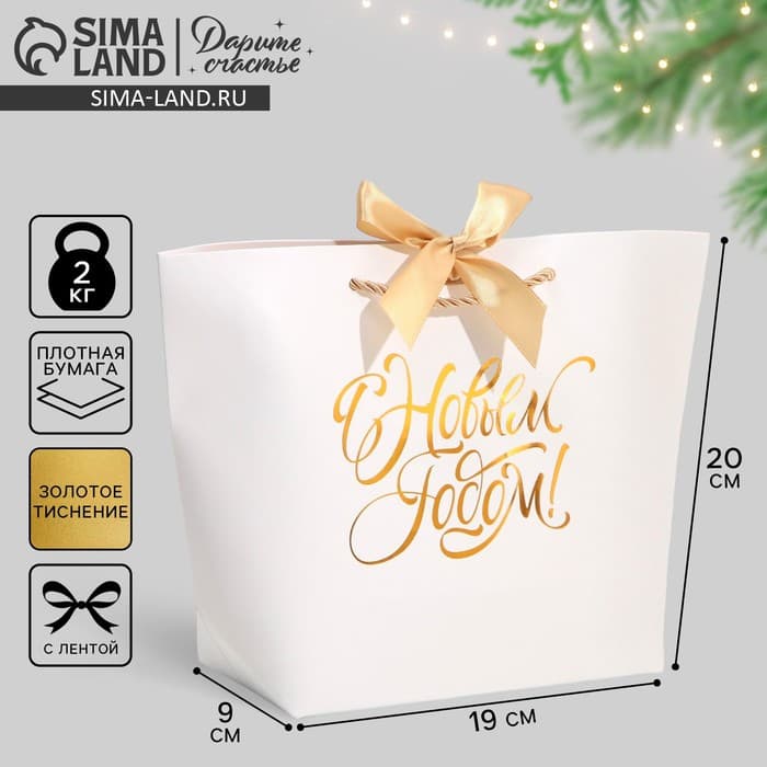 Пакет подарочный новогодний «С Новым годом», 19×20×9 см