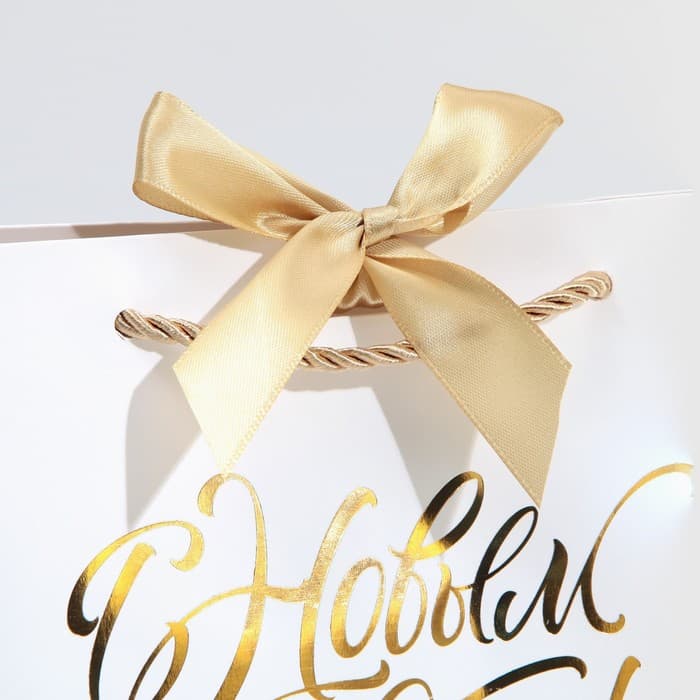 Пакет подарочный новогодний «С Новым годом», 19×20×9 см