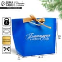 Пакет подарочный новогодний «Благополучия в Новом году», 19×20×9 см