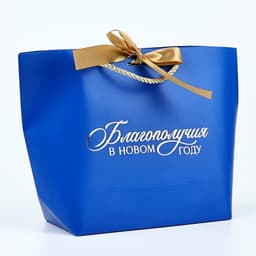 Пакет подарочный новогодний «Благополучия в Новом году», 19×20×9 см