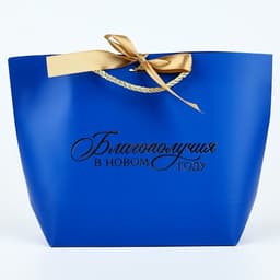 Пакет подарочный новогодний «Благополучия в Новом году», 19×20×9 см