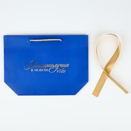 Пакет подарочный новогодний «Благополучия в Новом году», 19×20×9 см