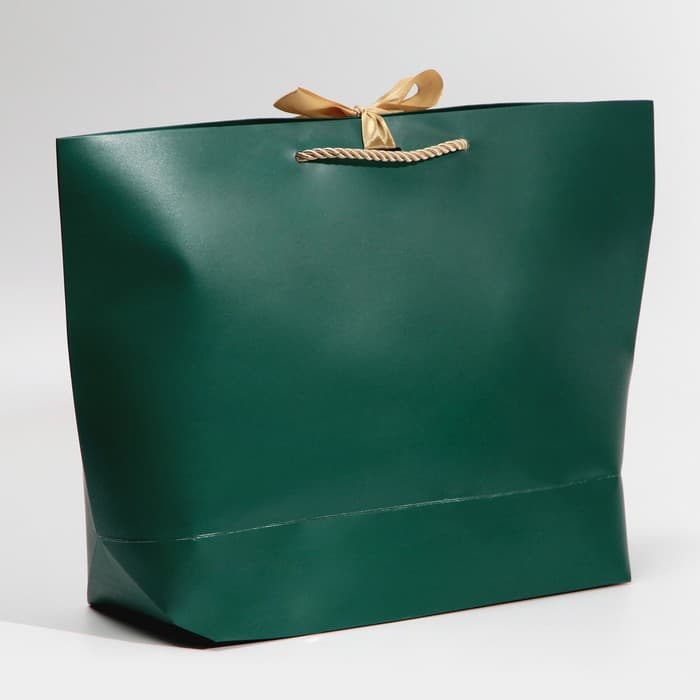 Пакет подарочный новогодний My congratters, 26×25×11 см