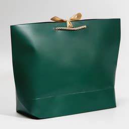 Пакет подарочный новогодний My congratters, 26×25×11 см