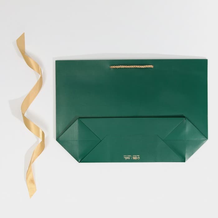 Пакет подарочный новогодний My congratters, 26×25×11 см