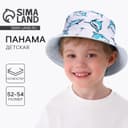 Панама детская «Акула», р-р 52-54