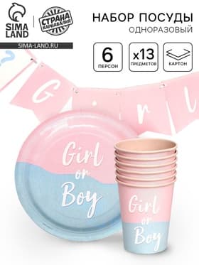 Посуда бумажная одноразовая на гендер-пати «Мальчик /Девочка»