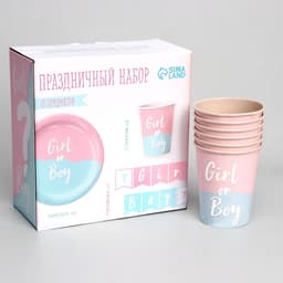Посуда бумажная одноразовая на гендер-пати «Мальчик /Девочка»