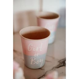 Посуда бумажная одноразовая на гендер-пати «Мальчик /Девочка»