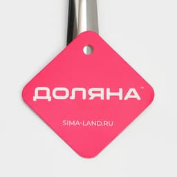 Ложка для соуса из нержавеющей стали Доляна Everyday, 40 мл, 29.5×8.5 см, толщина 3 мм, серебристая
