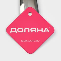 Ложка для соуса из нержавеющей стали Доляна Everyday, 50 мл, 26.5×10 см, толщина 3 мм, серебристая