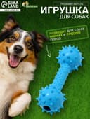 Жевательная игрушка для собак «Грозная гантель», 15×5 см, синяя