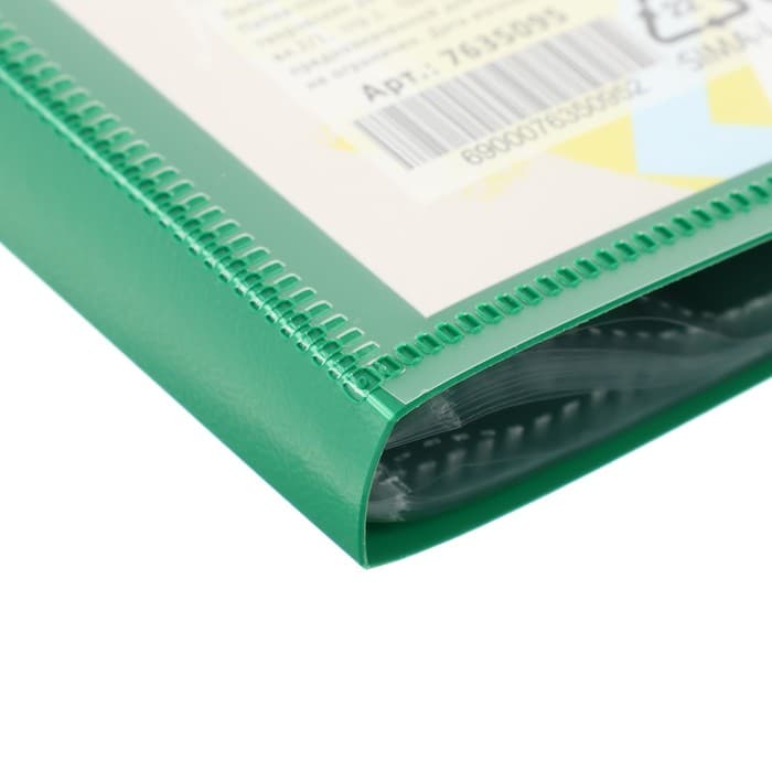 Папка-портфолио пластиковая А4, Calligrata «Лицей», 20 файлов