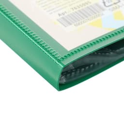 Папка-портфолио пластиковая А4, Calligrata «Лицей», 20 файлов