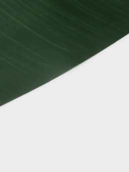 Дорожка на стол «Лист», 106×46 см, зелёная
