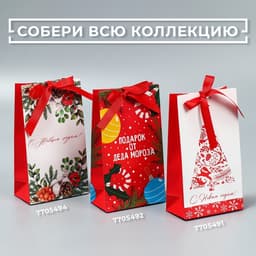Пакет подарочный новогодний с лентой «С Новым годом», 13×23×7 см
