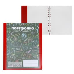 Папка-портфолио А4, Calligrata «Веселая школа», пластиковая, на 4 кольцах, для школьника, 20 файлов