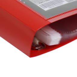 Папка-портфолио А4, Calligrata «Веселая школа», пластиковая, на 4 кольцах, для школьника, 20 файлов