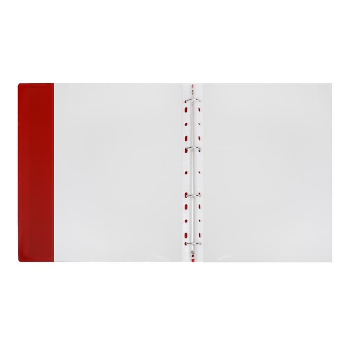 Папка-портфолио А4, Calligrata «Веселая школа», пластиковая, на 4 кольцах, для школьника, 20 файлов