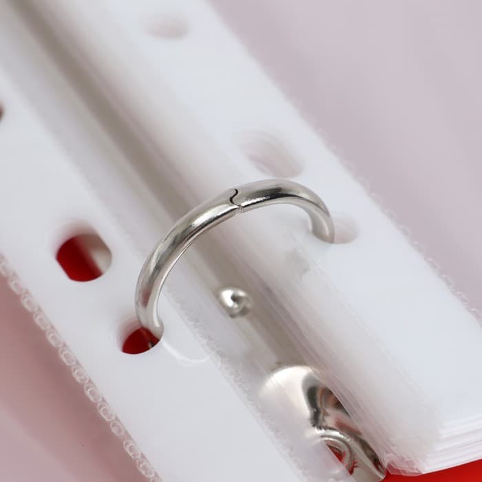 Папка-портфолио А4, Calligrata «Веселая школа», пластиковая, на 4 кольцах, для школьника, 20 файлов