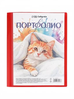 Папка-портфолио А4, Calligrata, на 4 кольцах, без вкладышей, МИКС