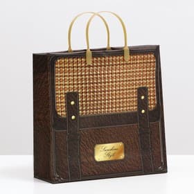 Пакет «Портфель», мягкий пластик, 30×30 см, 120 мкм