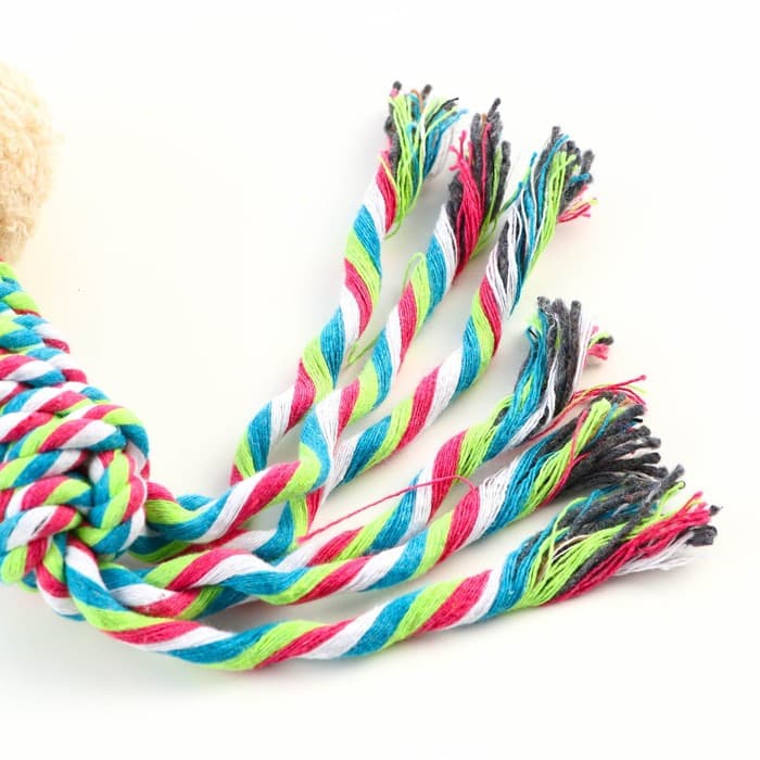 Мягкая игрушка для собак «Медведь», 24 см, с погремушкой, разноцветная