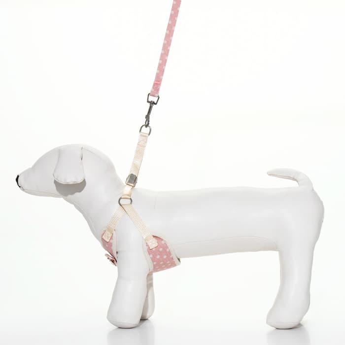 Шлейка с поводком «Горох», размер М, ОГ 34-66 см, поводок 120×1.5 см, розовая