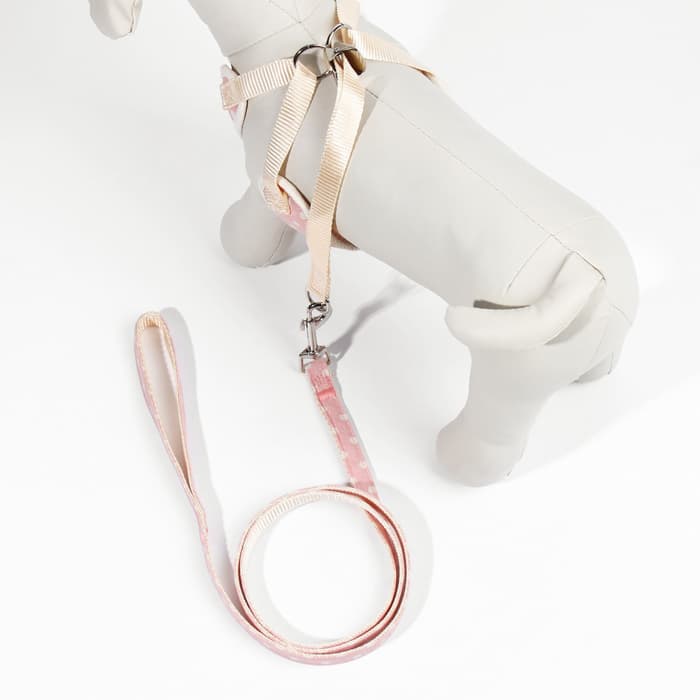 Шлейка с поводком «Горох», размер М, ОГ 34-66 см, поводок 120×1.5 см, розовая